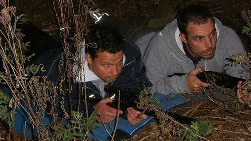 The Killer Punch/The Will of Death