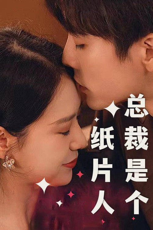 总裁是个纸片人电影海报