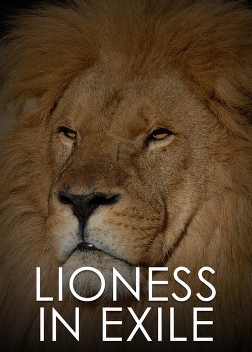 Lioness+in+Exile