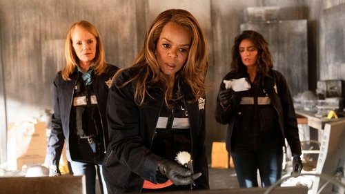CSI: Vegas - Ashes, Ashes