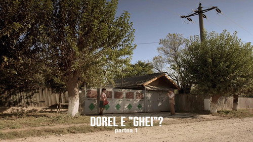 Dorel e "ghei"? (1)