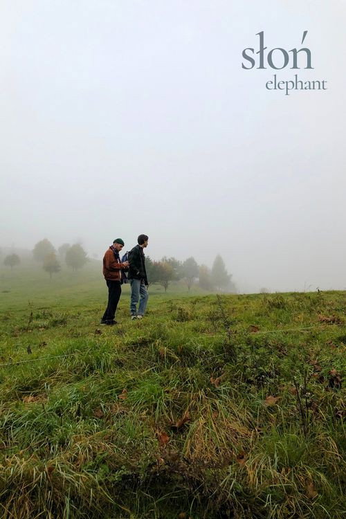 Elephant (2022) Teljes Film Magyarul Online HD Hu