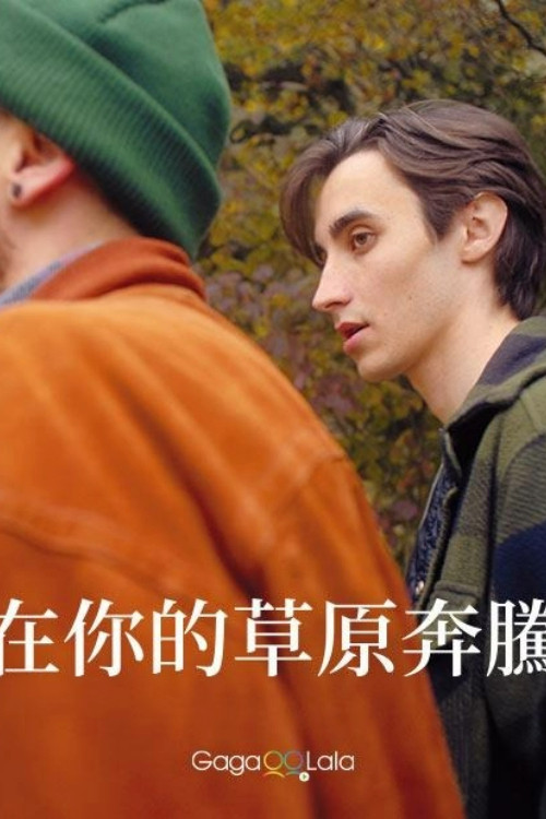 大象男孩电影海报