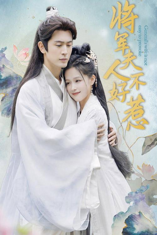 将军夫人不好惹电影海报