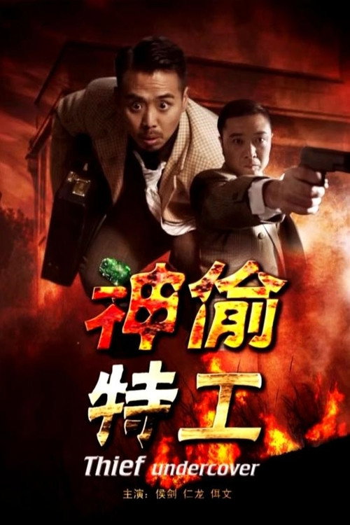 神偷特工 Poster