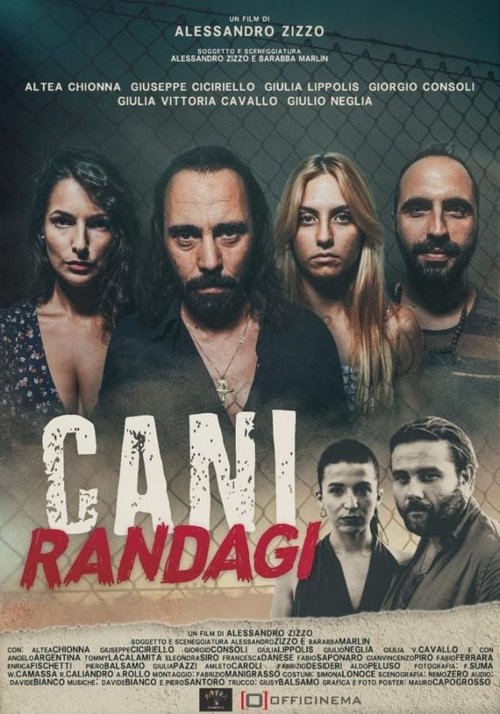 Cani randagi Poster