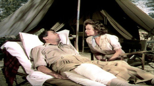 The Snows of Kilimanjaro (1952) หนังเต็มออนไลน์