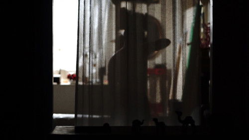 Birth of Venus (2021) فيلم كامل على الانترنت