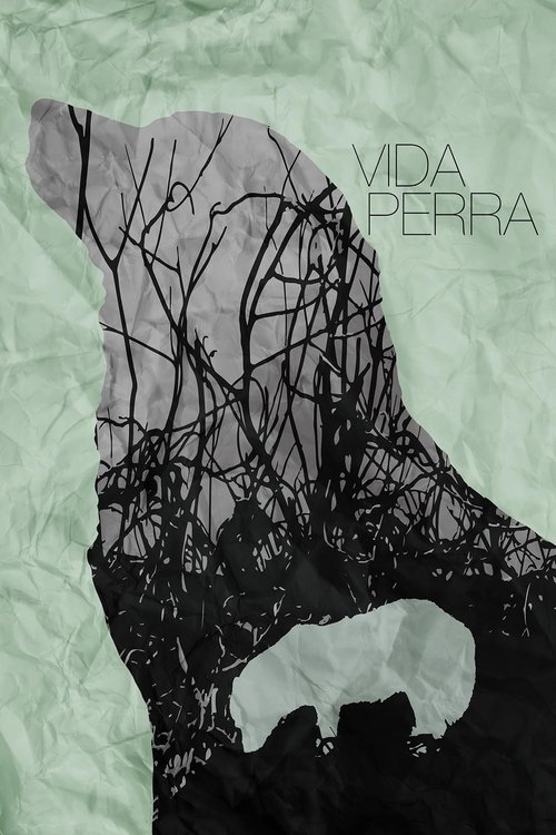 Regarder Vida Perra (2019) le film en streaming complet en ligne