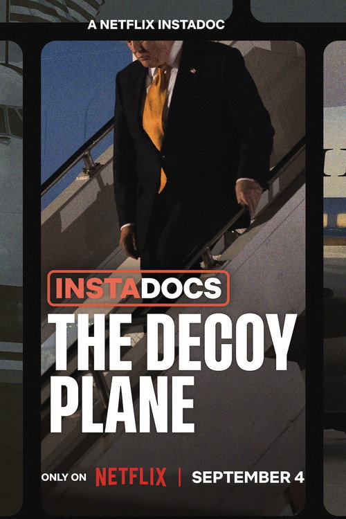 Instadocs: The Decoy Plane Poster