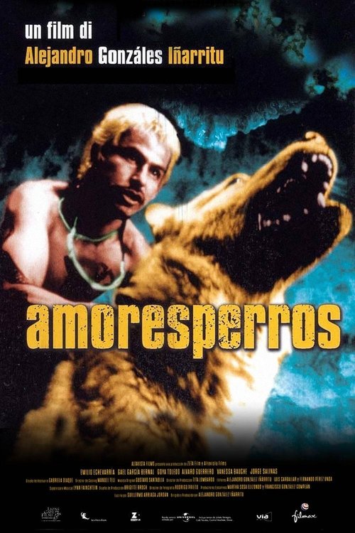 Amores perros (2000) Guarda Film Completo