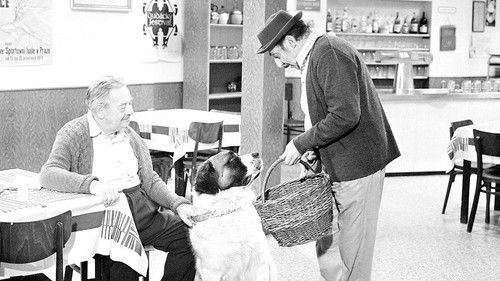 Bohoušův syn (1975) فيلم كامل على الانترنت