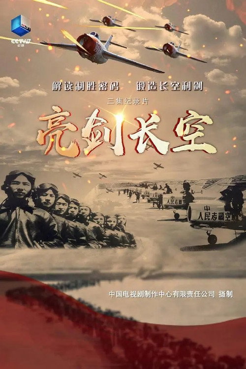 亮剑长空电影海报