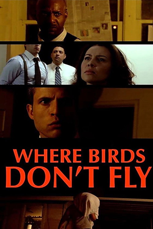 Where Birds Don't Fly poster 4