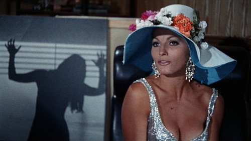 Backdrop