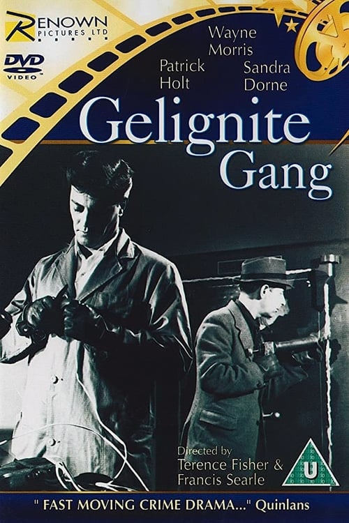 The+Gelignite+Gang