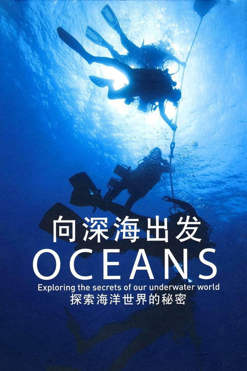 向深海出发电影海报