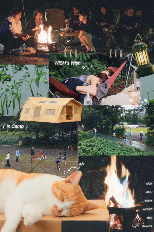 Wish’s Wish in Camp 🏕️