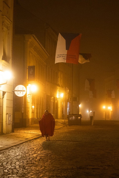 Night Journey Poster