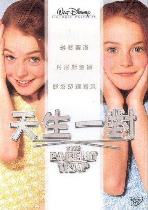 天生一对电影海报