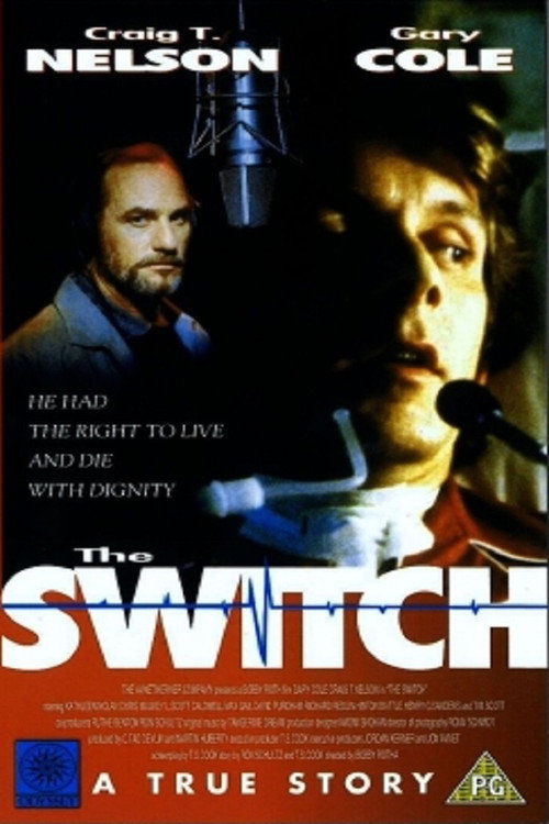The Switch poster 5