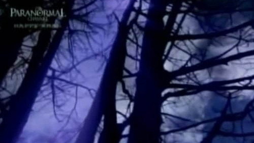 The Enfield Poltergeist (2008) Film Completo Streaming ITA oNLINE
