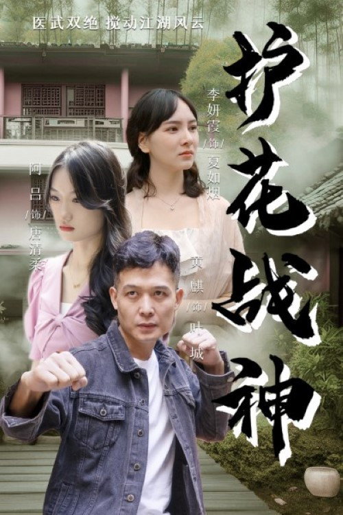 护花战神电影海报