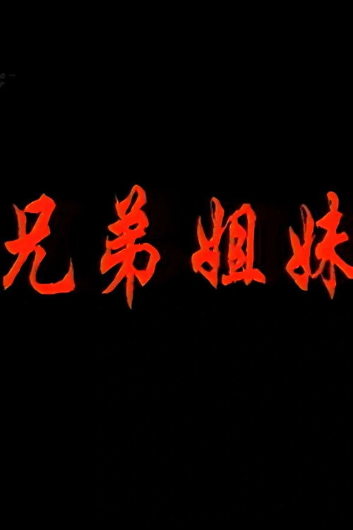 兄弟姐妹电影海报