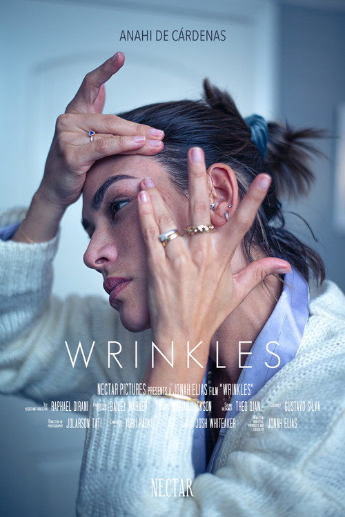 Wrinkles poster 2