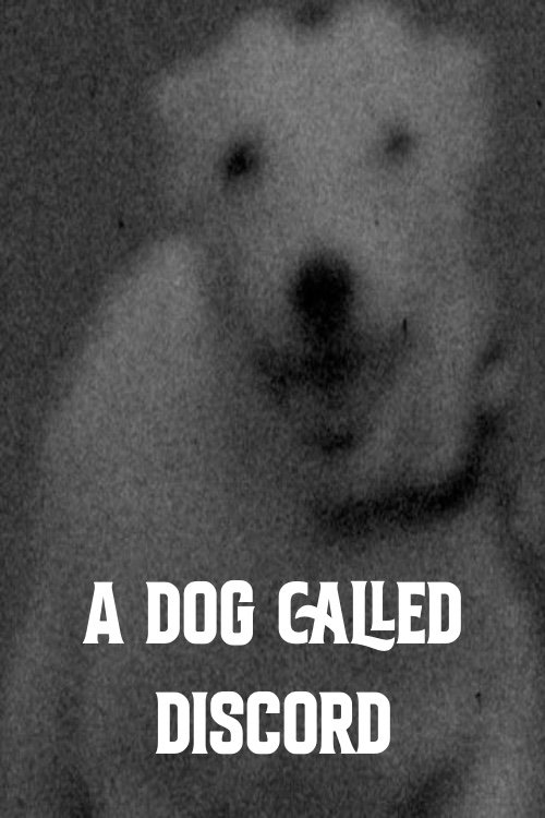 A Dog Called Discord Poster
