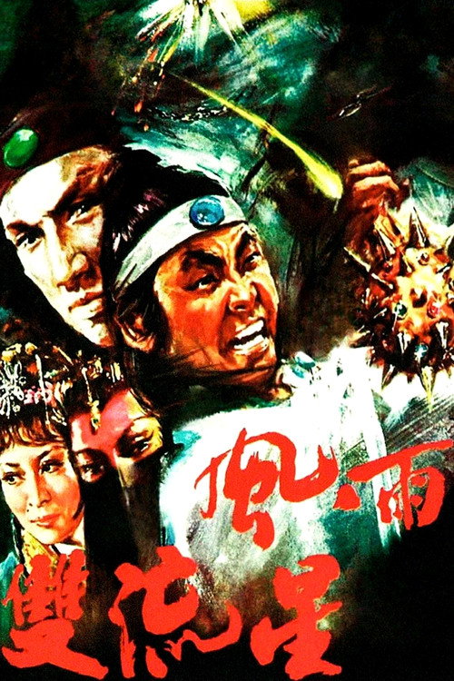 风雨双流星电影海报