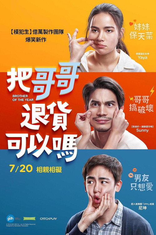 把哥哥退货可以吗电影海报