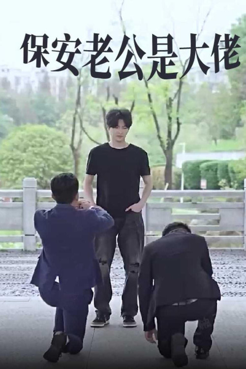 保安老公是大佬电影海报