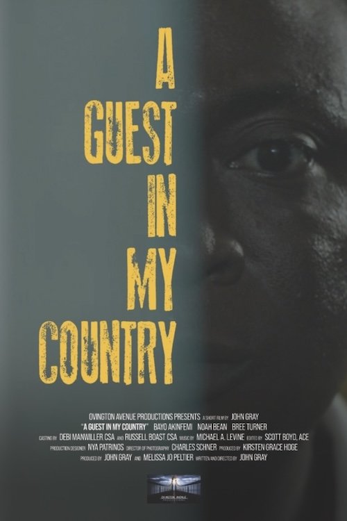 A Guest in My Country Poster