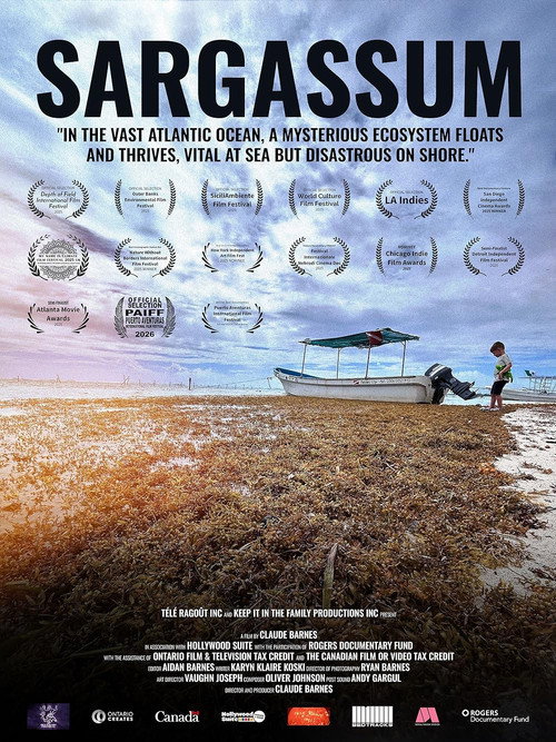 Sargassum电影海报