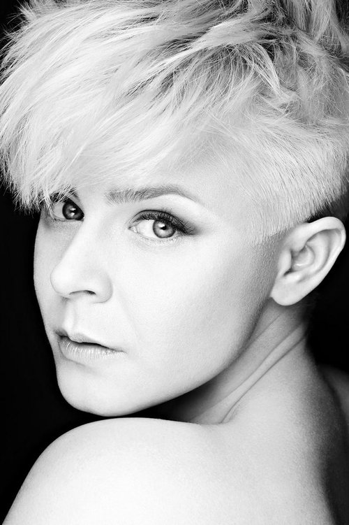 Poster of Robyn