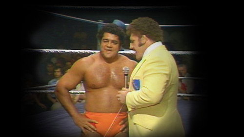 WWF Championship Wrestling - May. 24, 1980