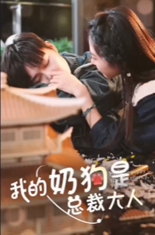 我的奶狗是总裁大人电影海报