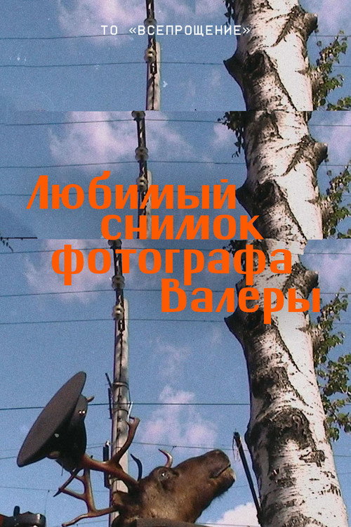Любимый снимок фотографа Валеры电影海报