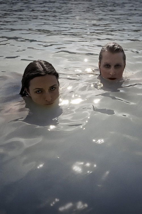 Gay by Nature Poster