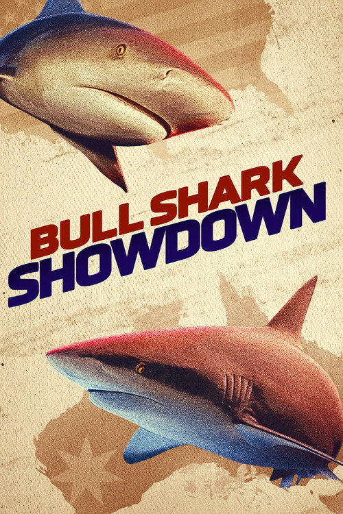 Bullshark Showdown