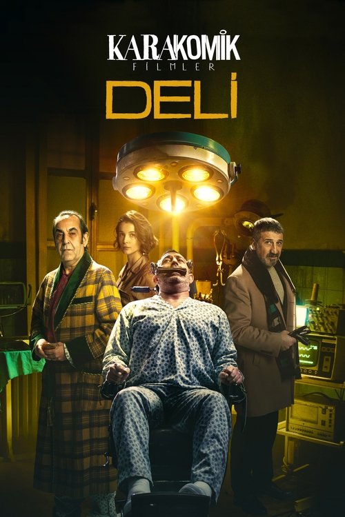 Background poster of Karakomik Filmler 2: Deli blurred