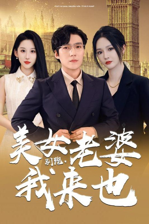别跑，美女老婆我来也电影海报