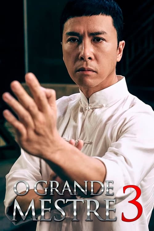 O Grande Mestre Ip Man Todos Dublado E Legendado