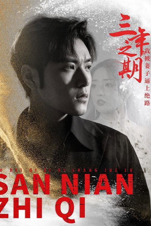 三年之期我被妻子逼上绝路电影海报