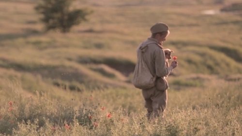 Последствия войны (2020) Guarda lo streaming di film completo online