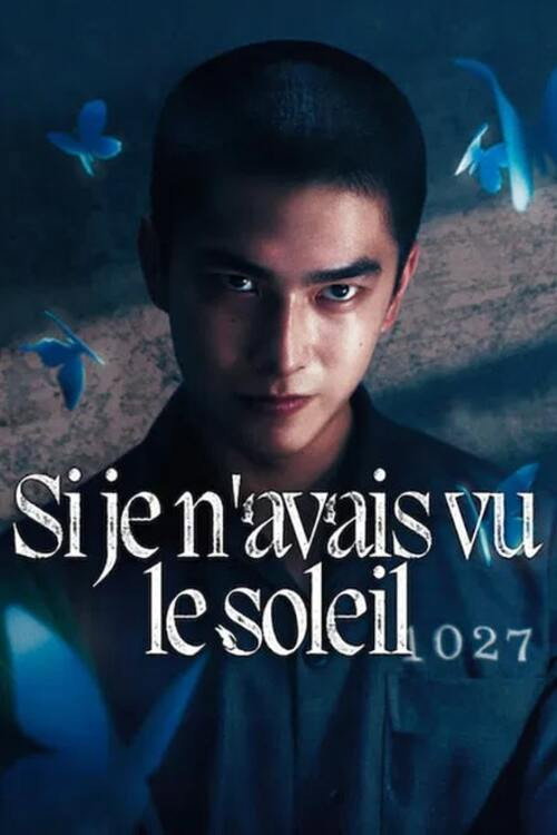 Had I Not Seen the Sun poster 1
