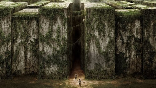 Le Labyrinthe (2014) Regarder le film complet en streaming en ligne
