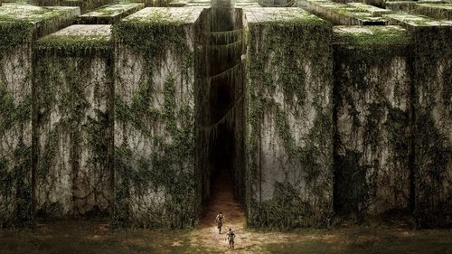 The Maze Runner (2014) Watch Full Movie Streaming Online