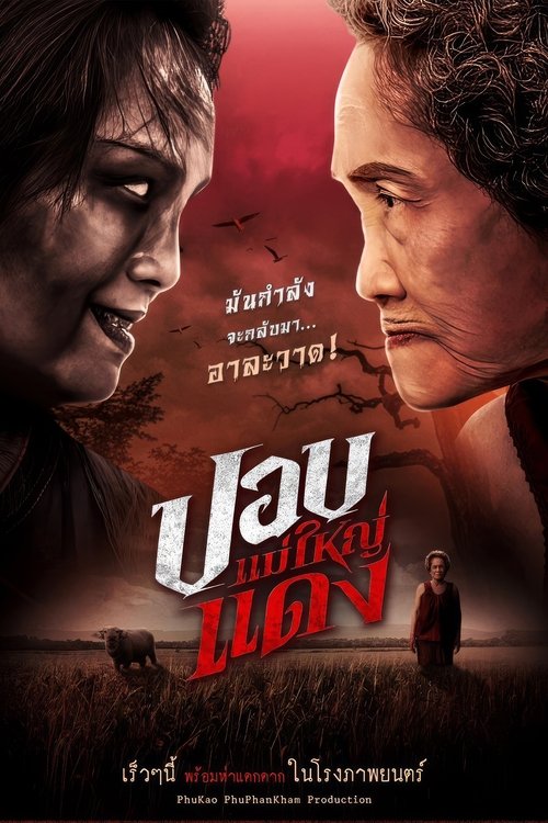The Haunted Granny Poster